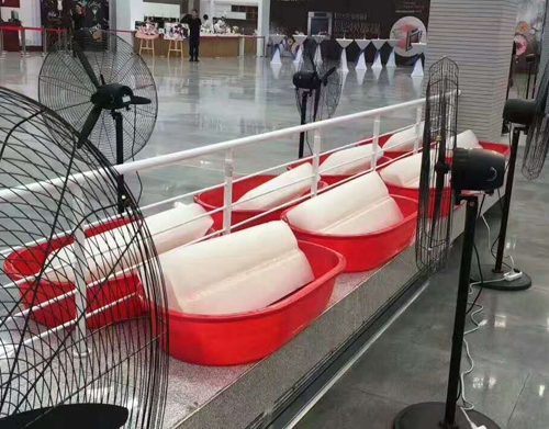 青青草精品视频冰块案例