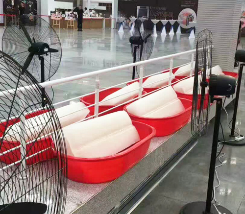 西安青青草精品视频冰块